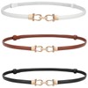 WERFORU 3 Pack Women Skinny Belt for Dress,Thin Waist Belt