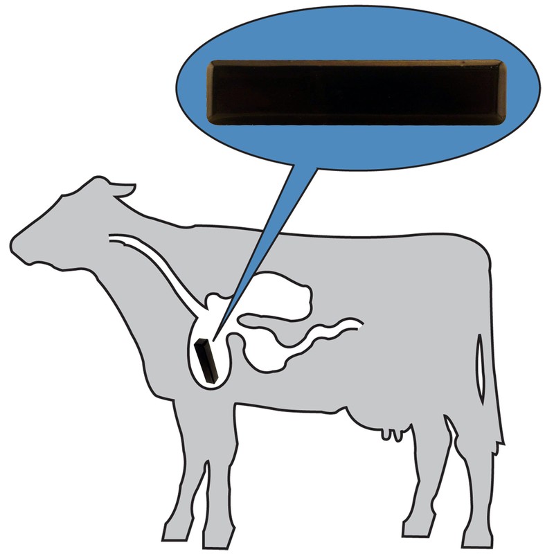 Master Magnetics COW-SCM7CX18 Ferrite Cow Magnet, 3" Length, 0.67" Width,