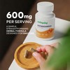 Wellsgoing Ashwagandha Herbal Supplement 600 mg, Ashwagandha Root Extract with