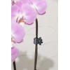Takasho GCP-4 Flower Clip, Pack of 1