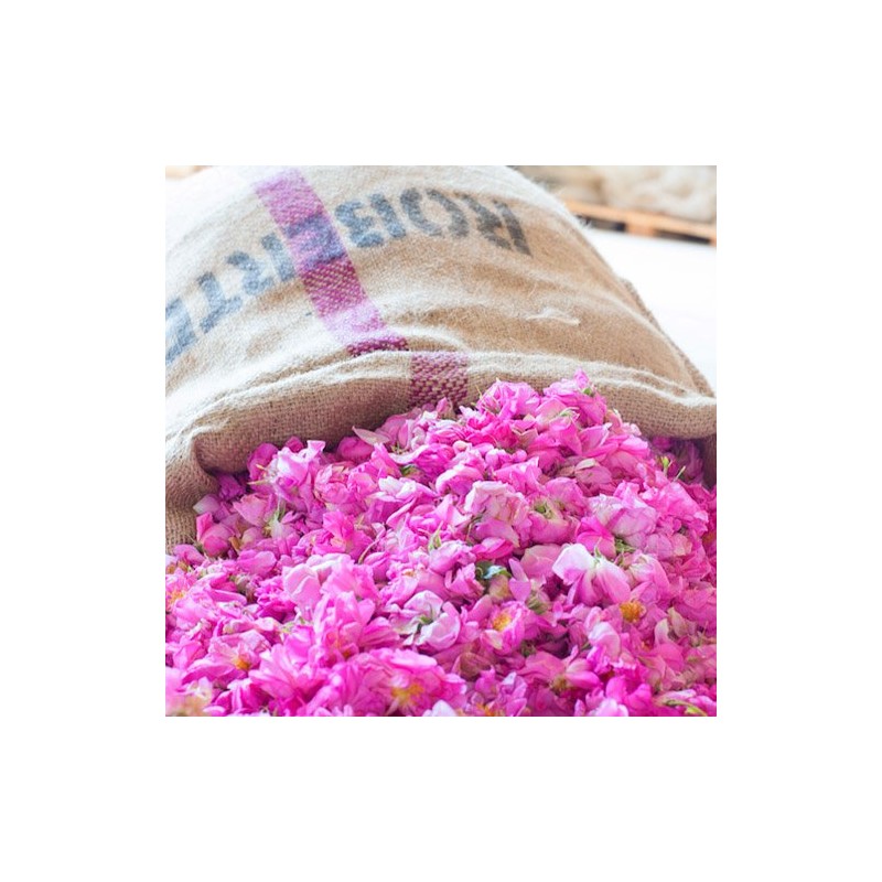 Kanoko no Herbalgena Conditioner, 8.5 fl oz (250 ml)