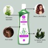 Shampoo Eva Essence Nopal Y Sábila 1l Anticaída Y Anticaspa