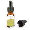 NeoOrganic® Bio Ingweröl (Zingiber officinale Roscoe) - 100% naturreines ätherisches