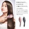 ReFa AILE BRUSH RAY Rose Gold Shampoo Treatment, Trial Set,