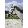 Riding World Mexican Horse Bridle Bridle