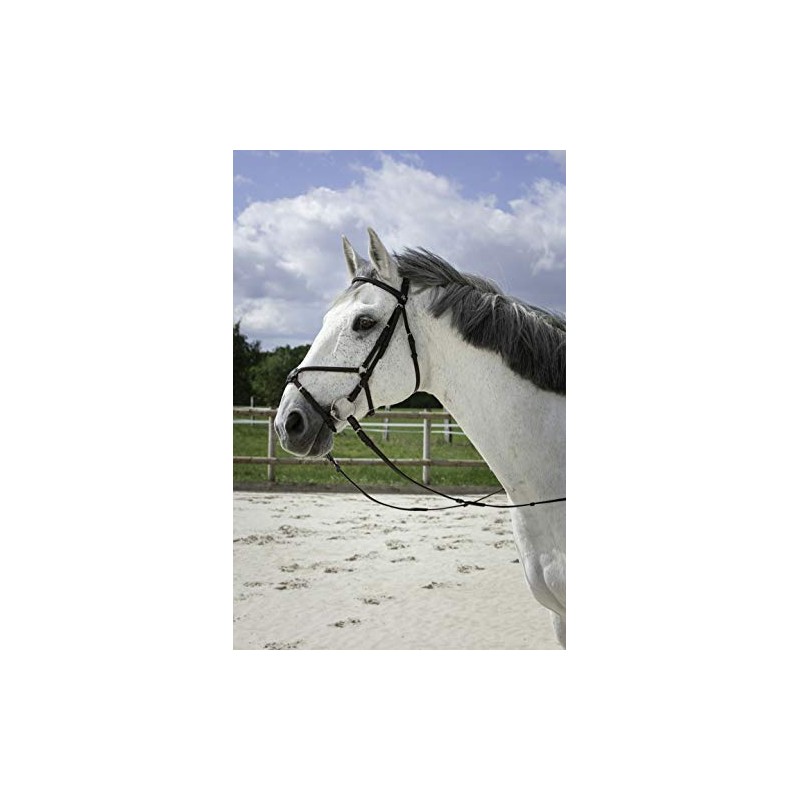 Riding World Mexican Horse Bridle Bridle