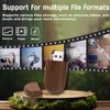 4GB Wood Flash Drives 5 Pack, FEWINA Oval Walnut Wooden