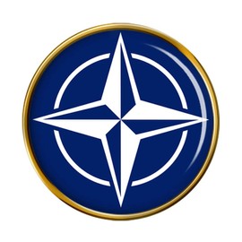 Nato Badge, gold