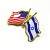 Unbranded Pack of 10 SUPPORT ISRAEL and USA Crossed Friendship