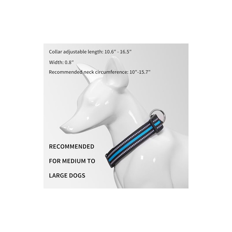 QUETTO Nylon Dog Collars Double Security Adjustable Classic Pet Collars