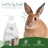 Citrus Magic Foaming Pet Cleanser, 8-Ounce
