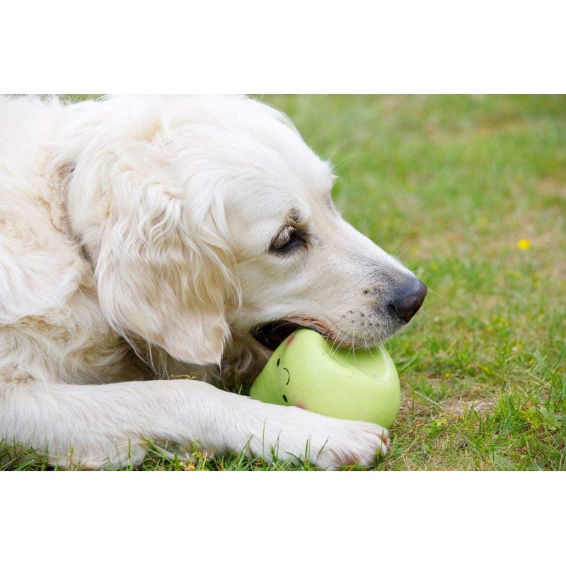 Petface Latex Apple Soft Chew Dog Toy, Large