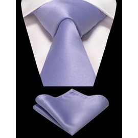 RBOCOTT Lavender Tie Necktie and Pocket Square with Lapel Pin Set(8cm-60)
