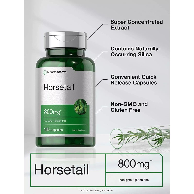 Horbäach Horsetail Capsules 800mg | 180 Count | Non-GMO, Gluten