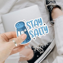 3Pcs Stay Salty Bumper Sticker Funny Stay Salt Sticker Gifts Beach Salty Sticker Beachy Gift Salt Life Decals Stay Salty Stickers Salty Life Decal for Laptop Water Bottle Toolbox Car 3" (S1)