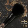 youstar Wild Nature Powder Brush 01