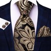 Hi-Tie Lot 5 Pcs Gift Box Mens Tie Set Necktie
