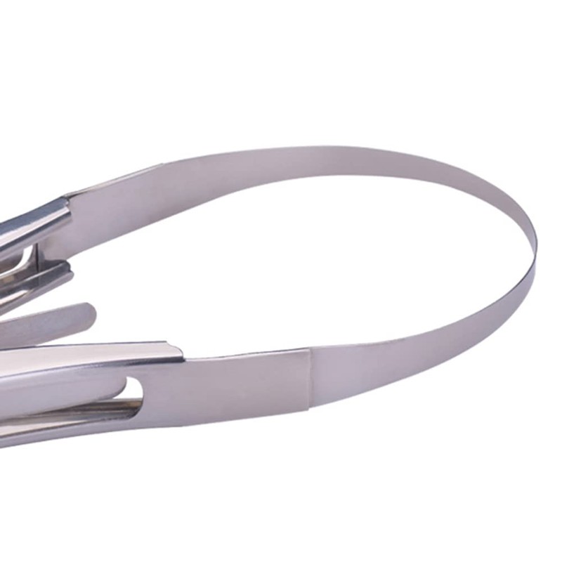 Fruit Slicer Cutter, Mango Splitter with Stainless Steel Blade, Fruit