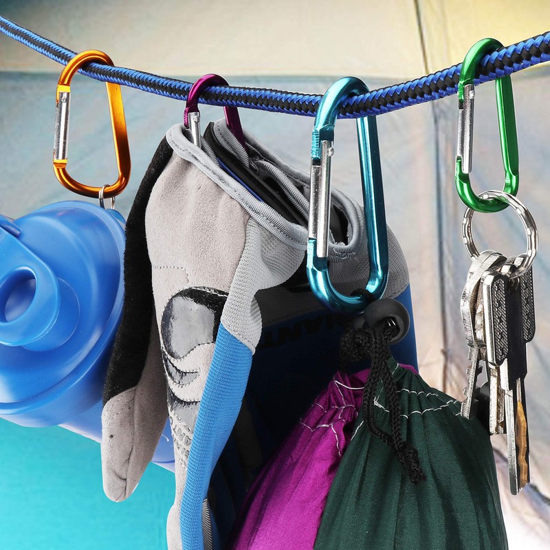 Temlum 10 Pieces Aluminum D Shape Carabiner Spring Carabiner Hook