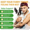 Natural Intestinal Defense for Dogs, Herbal Cleanser & Natural Digestive