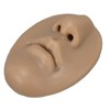 3D Nose and Mouth Model Silicone Ear Model Simulation Display