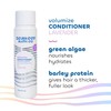 Seaweed Bath Co. Volumize Conditioner, Lavender Scent, 12 Ounce, Sustainably