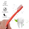  12 Pcs Super Bristle Toothbrush Hard Toothbrushes for Adults