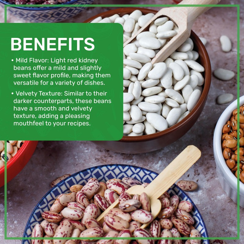 Jiva Organic Light Red Kidney Beans Speckled Whole (Rajma Chitra)