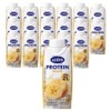 Altive Protein Banana, 18 packets, 250ml / 얼티브 프로틴 바나나, 18개, 250ml