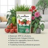 Professional 16-16-16 All Purpose Garden Fertilizer for Lawns, Flowers, Trees,