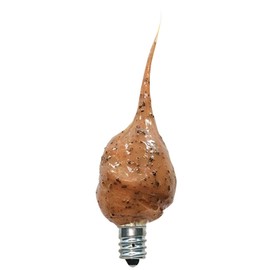 Vickie Jean's Hazelnut Scented Silicone Light Bulb 4 Watt   ~ Home Decor