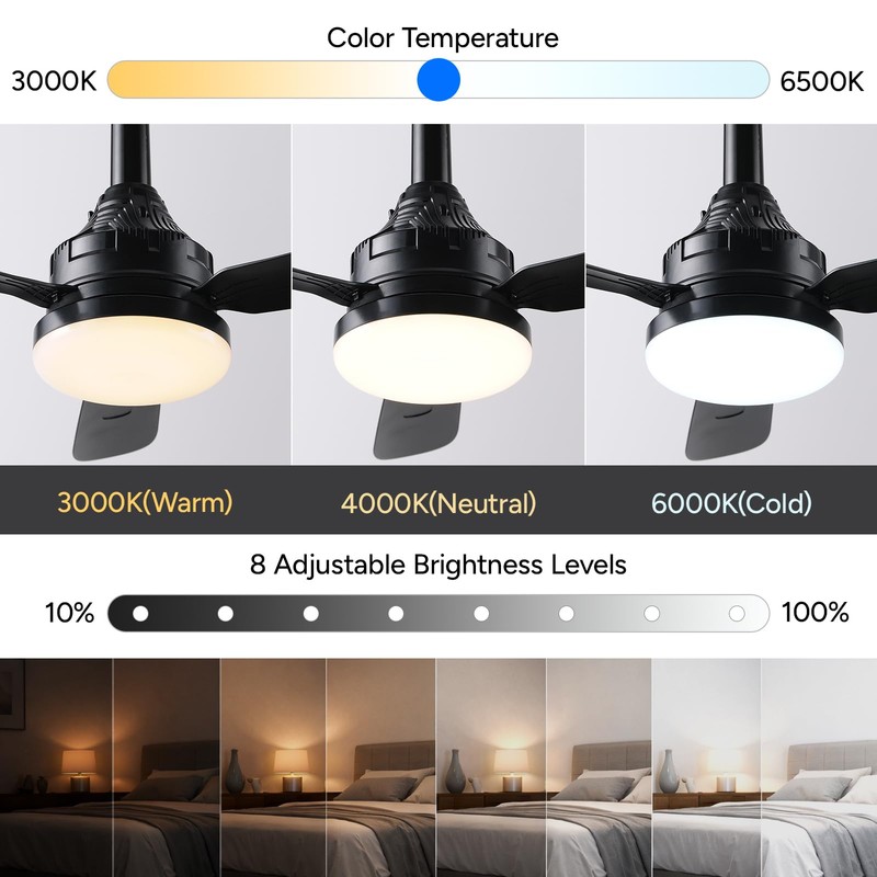 Faryuan 28" Small Ceiling Fans with Lights and Remote, Black