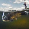 Saltwater Fishing Lures, Artificial Lures for Fishing, Surf Fishing, Floating