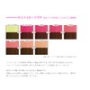 Ancels Color Treatment Butter 20g Flash Pink