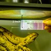 REPTI ZOO UVB Tester Reptile Lamp UV Sensor Reptile UVB
