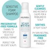 Goldwell Dualsense Scalp Specialist Foam Shampoo 250ml