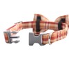 Lionet Paws Dog and Cat Collar with Bowtie Grid Collar