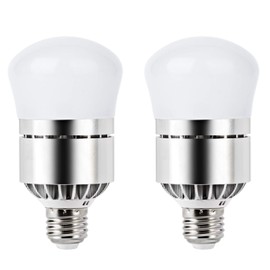 12W Dusk to Dawn Light Bulb