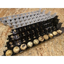 Brinsea Ovation 28 & 56  Quail Egg Carriers, Tray, Holder, Pack Of 4 Trays