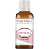 Wild Ravensara Essential Oil (Agathophyllum Aromatica Madagascar) 1 oz /