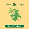 Tadin Green Tea, Herbal Tea, Green Tea Bags, Caffeinated Tea,