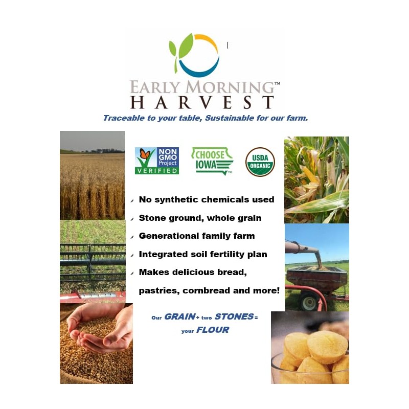 Early Morning Harvest Organic Bread Flour - Made from Non-GMO