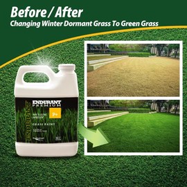 Endurant Endurant Turf Colorants - Premium Spray On Green Grass Paint for Lawns - Revives Dry, Patchy Yards - Versatile Grass Hue - Easy to Use, Concentrated Turf Grass Dye - Covers Approx 1,000 Sq Ft - 32Oz
