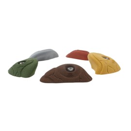Atomik Rock Climbing Holds Set of 5 Bolt-On Medium Classic Edges Style 1 in Assorted Earth Tones