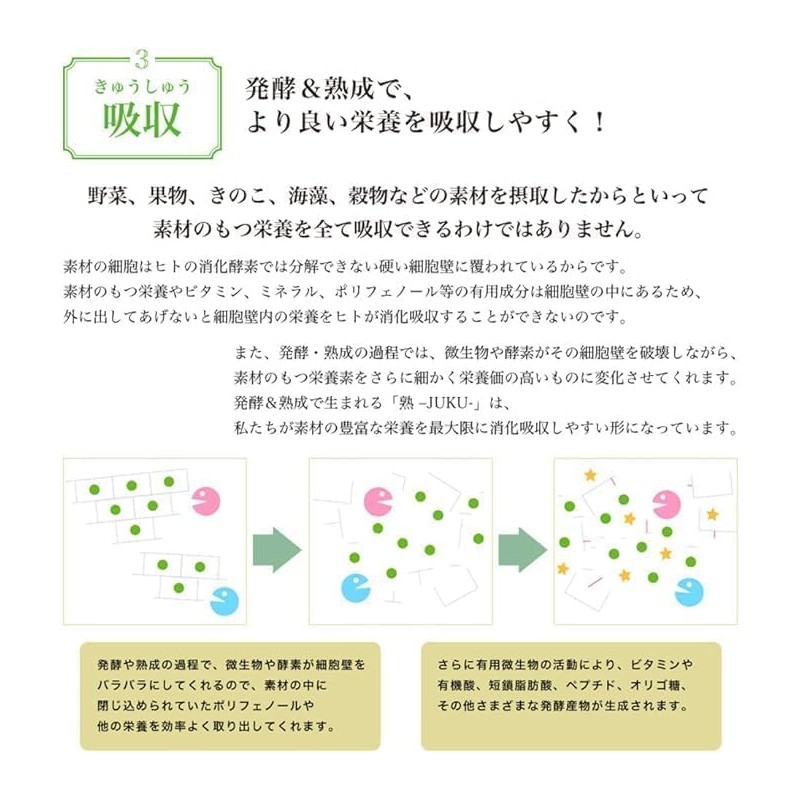 大和酵素 熟 植物 野菜 無添加 小分け 発酵 熟成 ペースト 酵素