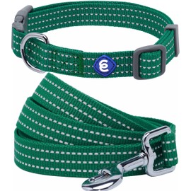 Blueberry Pet Essentials Reflective Better Basics Matching Dog Collar and Leash Set in Dark Green, Adjustable Collar with 4 ft Leash for Large Dogs
