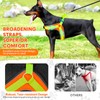 Light Up Dog Harness,Lighted Harness,LED Reflective No Escape Dog Harness