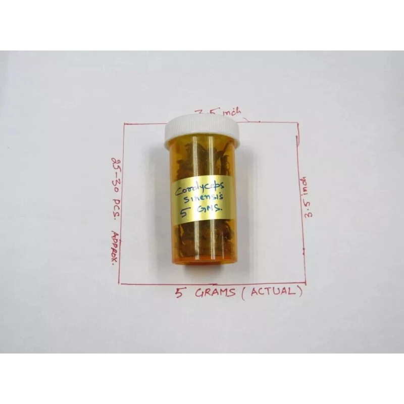 Pure 5 GM PURE CORDYCEPS SINENSIS wild US stock Fedex