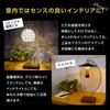 SWAG GEAR Lantern Stand, Walnut, Copper, Stylish, Outdoor & Camping