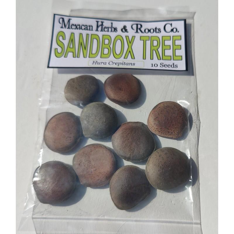 Mexicanherbs sandbox tree 10 seeds (Hura crepitans, possumwood, jabillo )